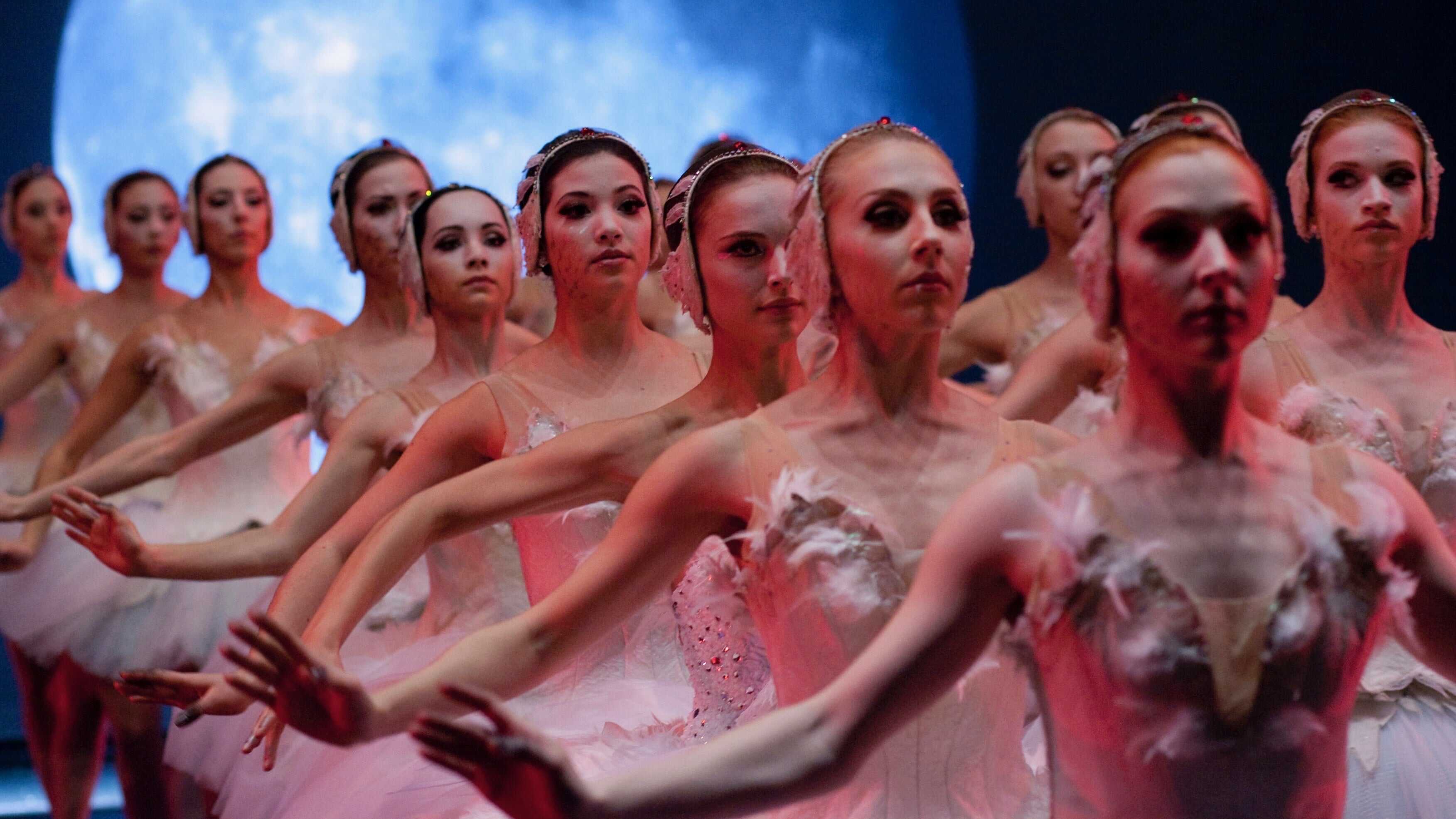 Black Swan 2