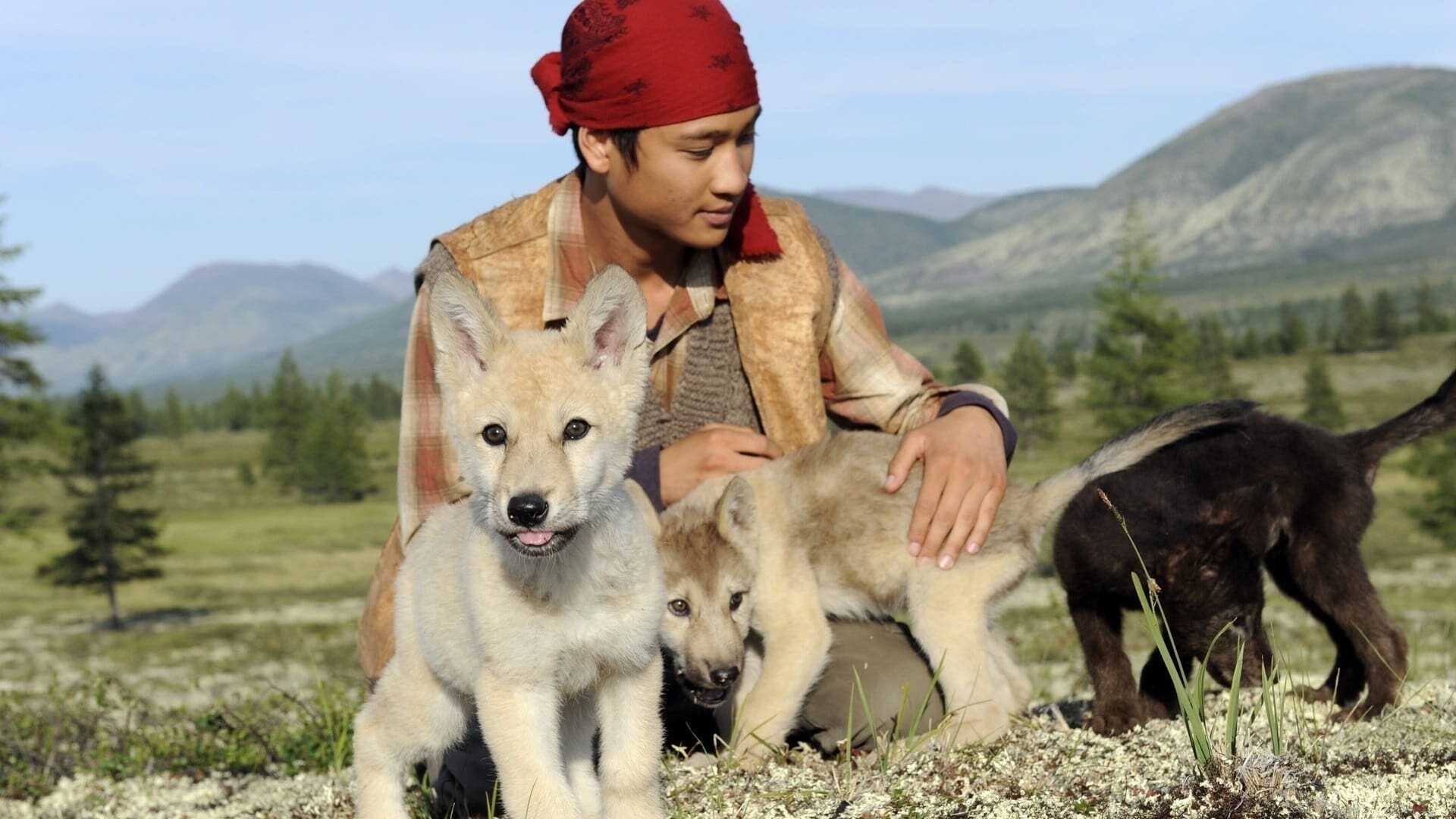 Le Chant du loup 3