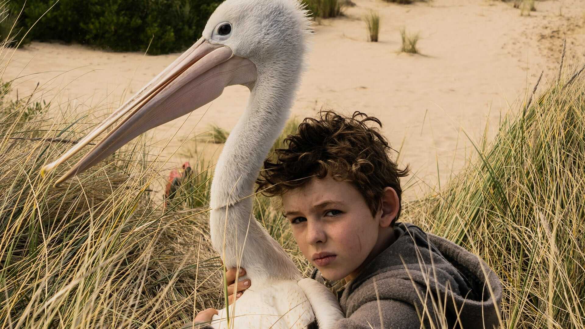 Storm Boy 1