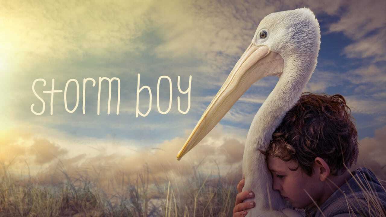 Storm Boy 2