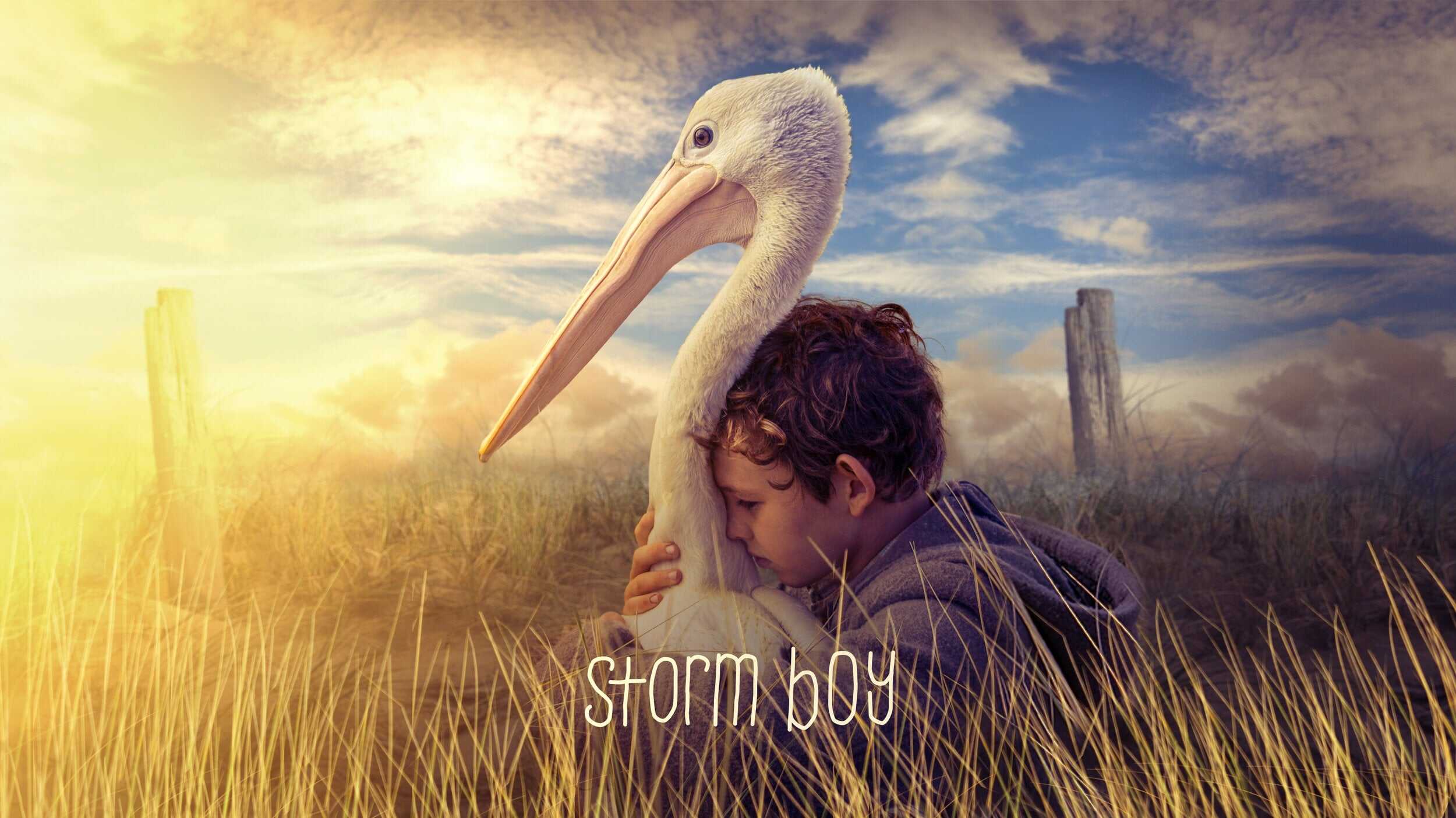 Storm Boy 3