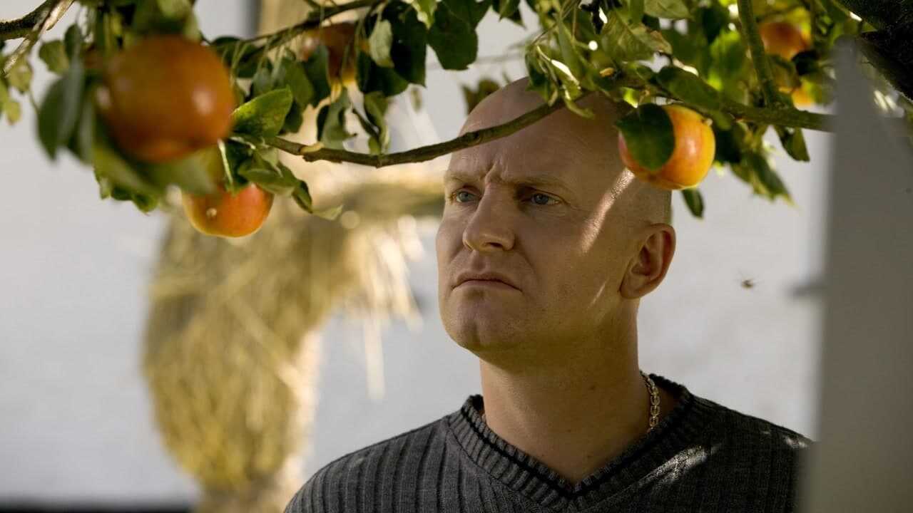 Adam's Apples 1