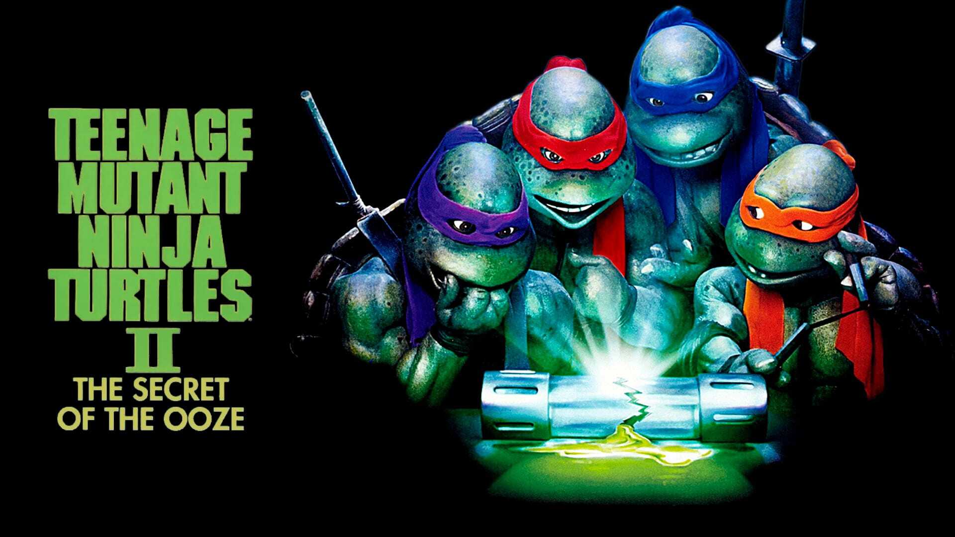 Les Tortues Ninja 0