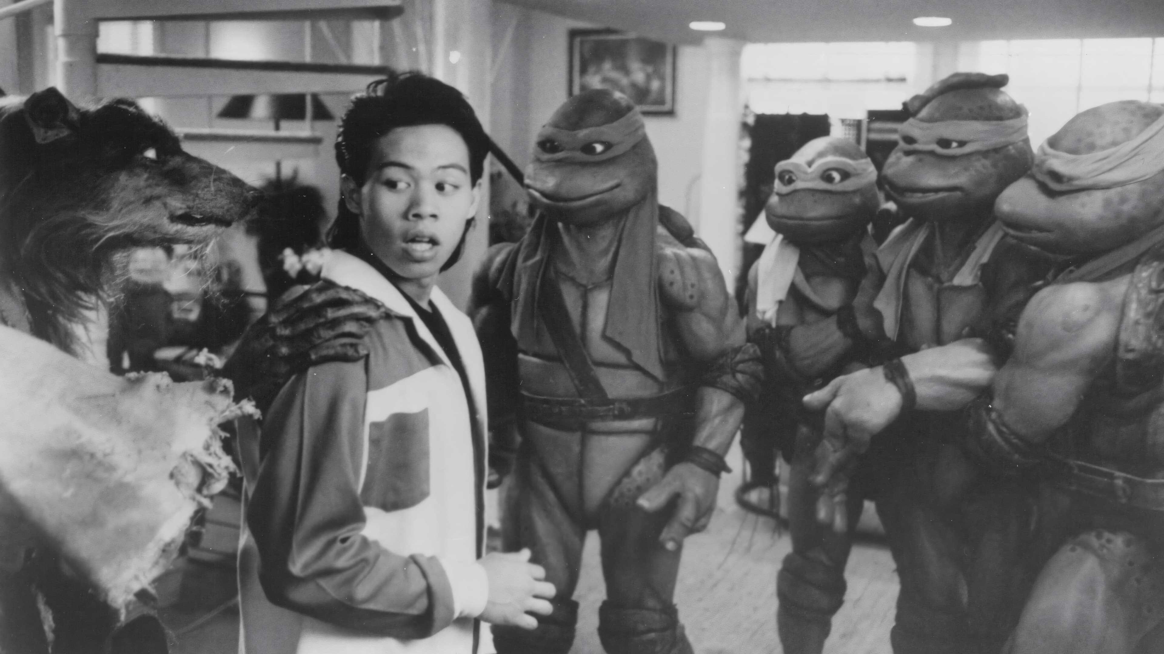 Les Tortues Ninja 1
