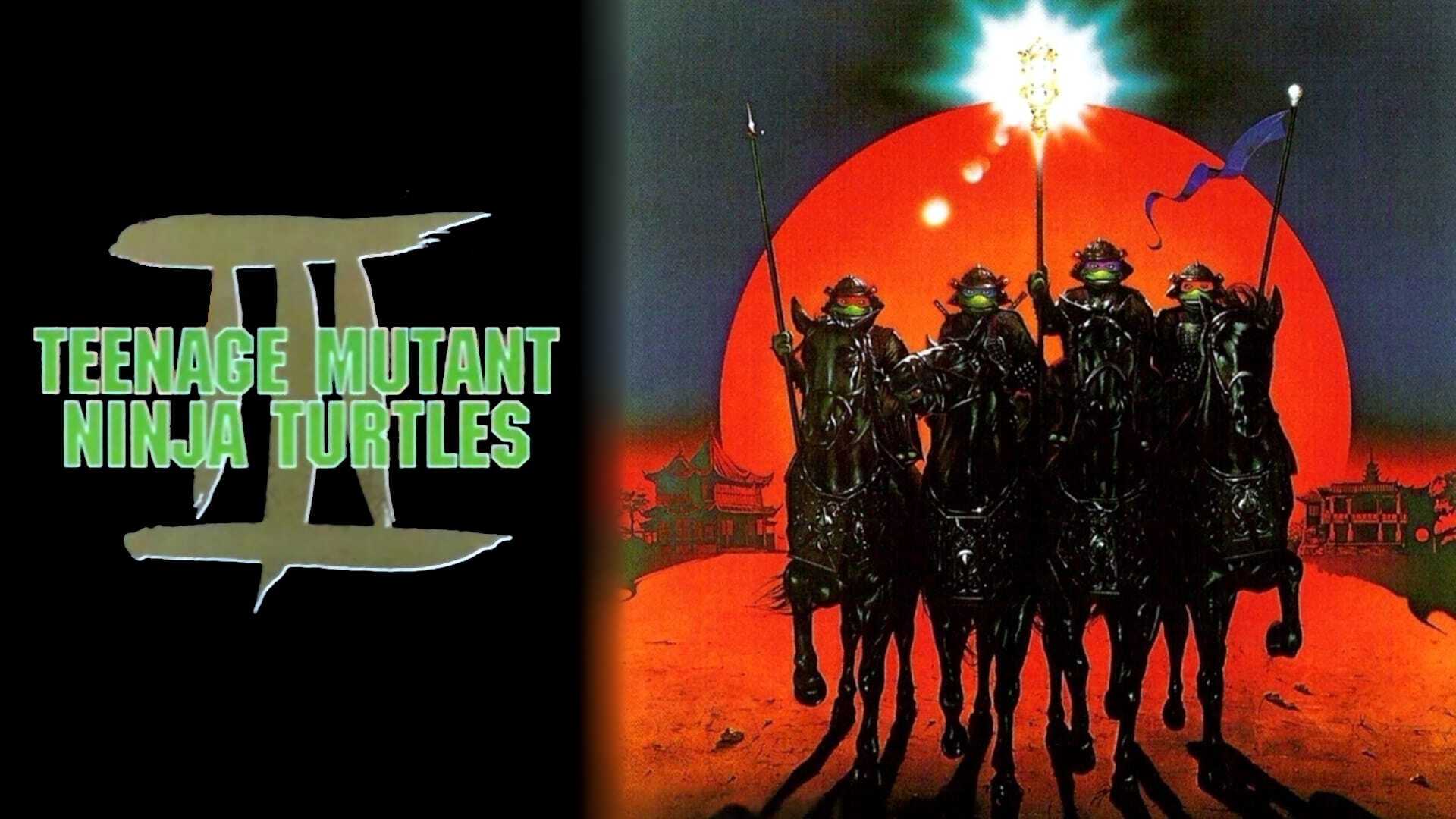Les Tortues Ninja 0