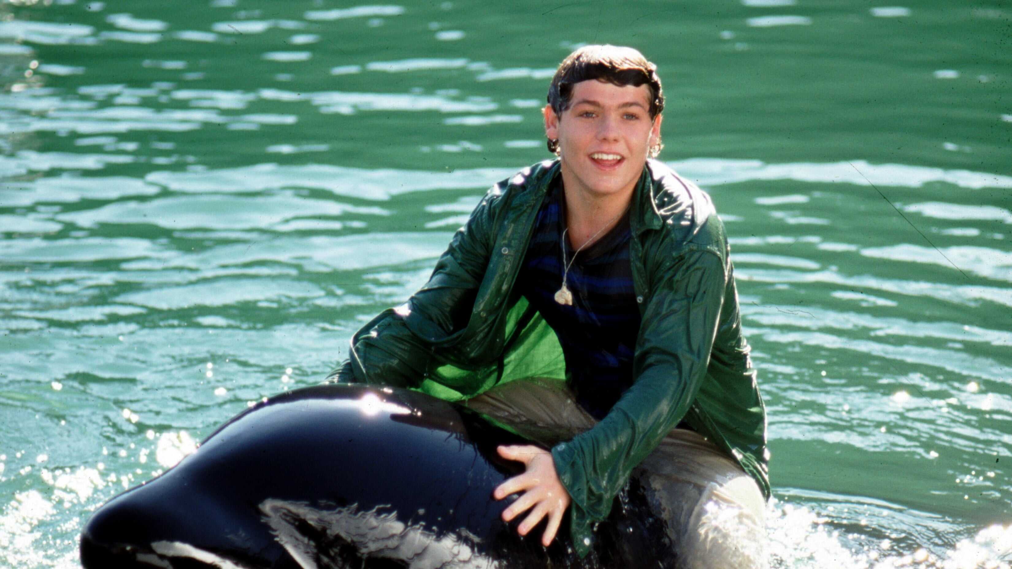 Sauvez Willy 1
