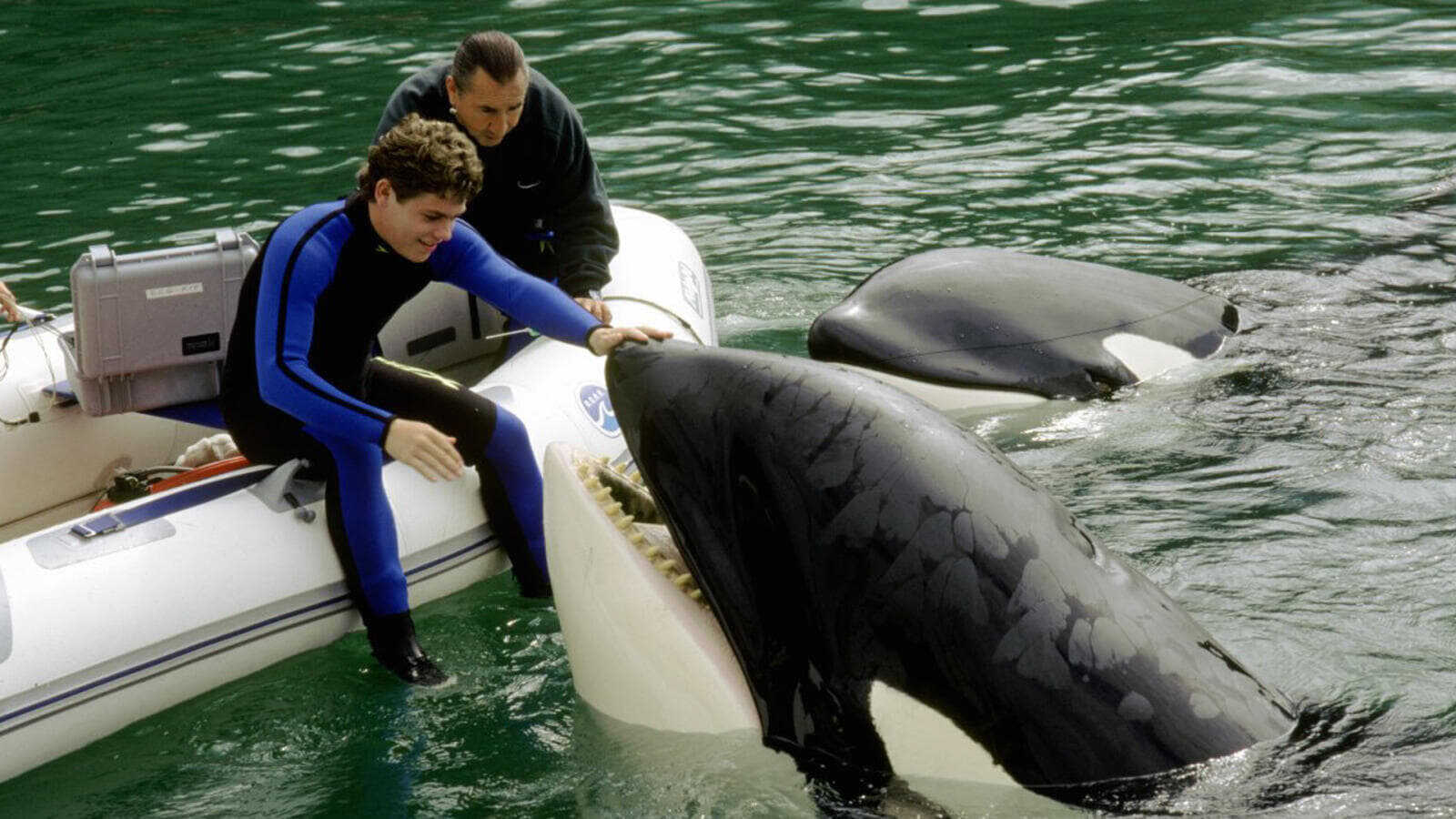 Sauvez Willy 3