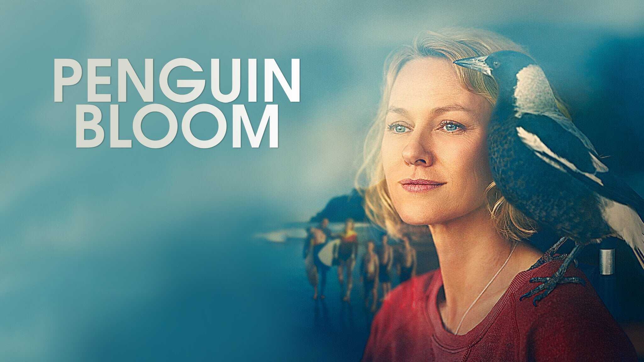 Penguin Bloom 4