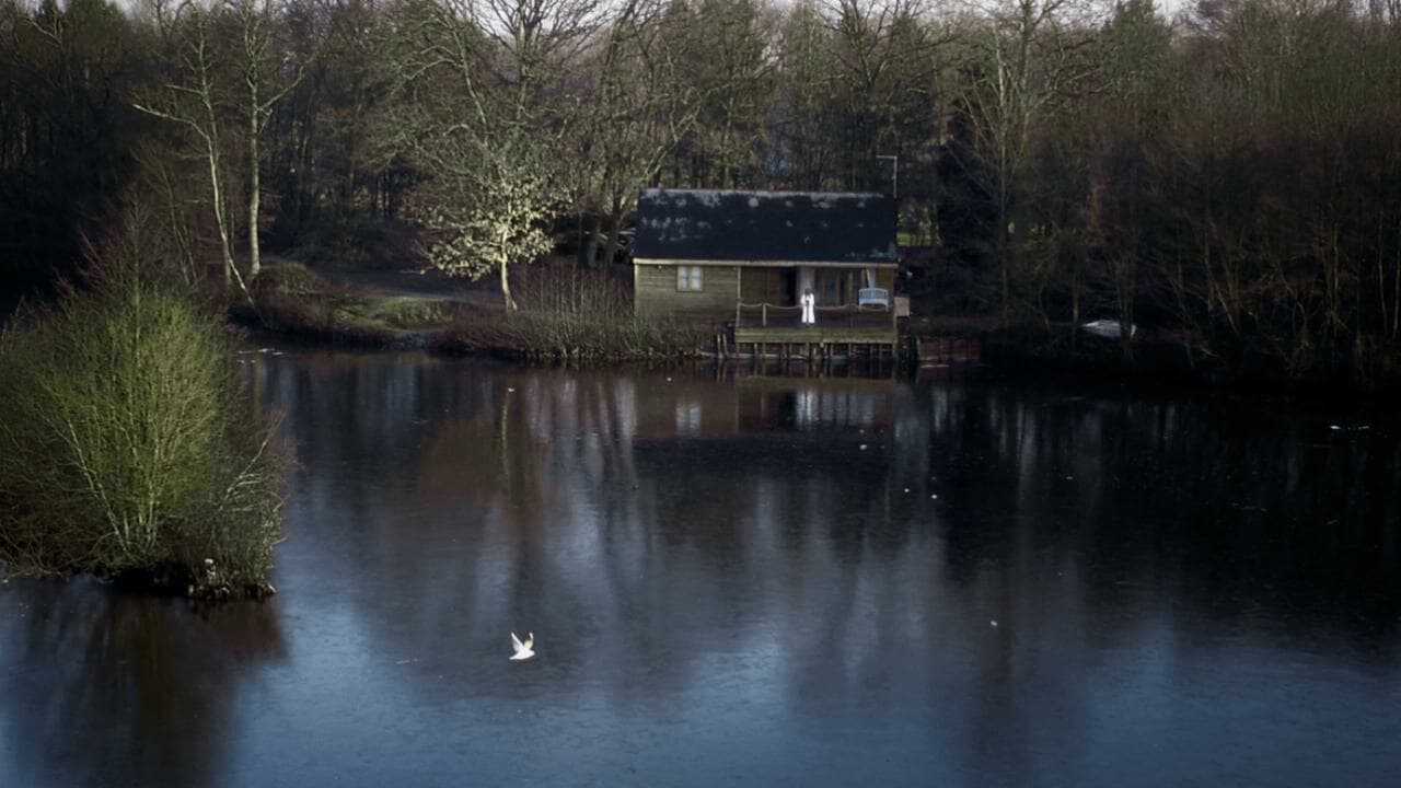 House on Elm Lake 0