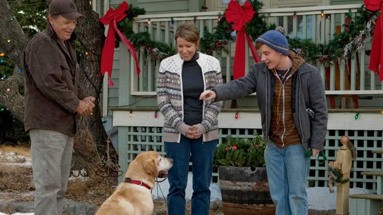 A Dog Named Christmas 0