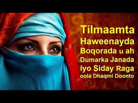 |SO| BOQORADA HAWEENKA 8