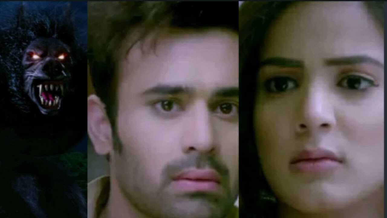 |SO| SO ROGAL CELINTII BAHALKA 8