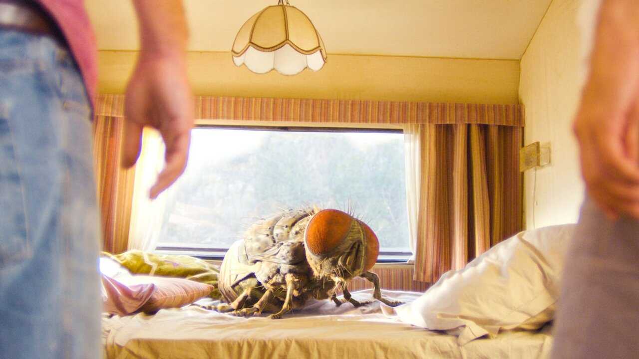 Mandibules (2021) 0