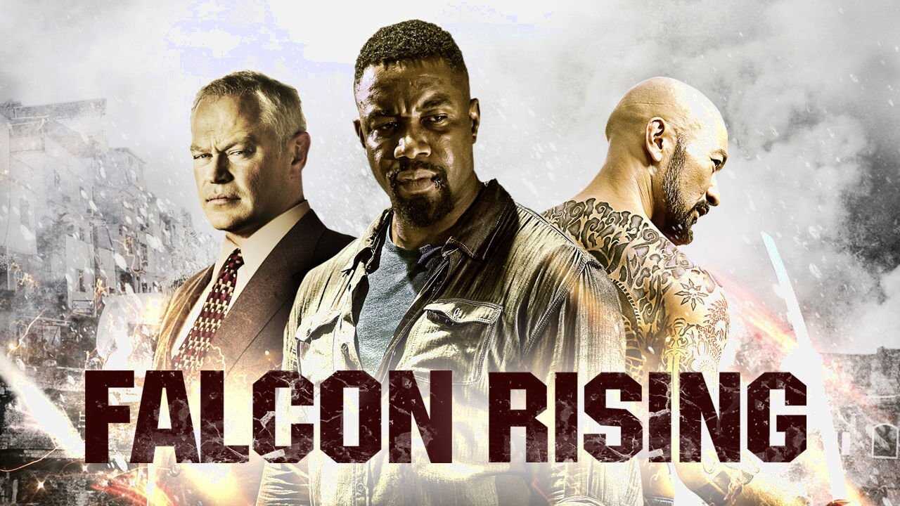 Falcon Rising 0