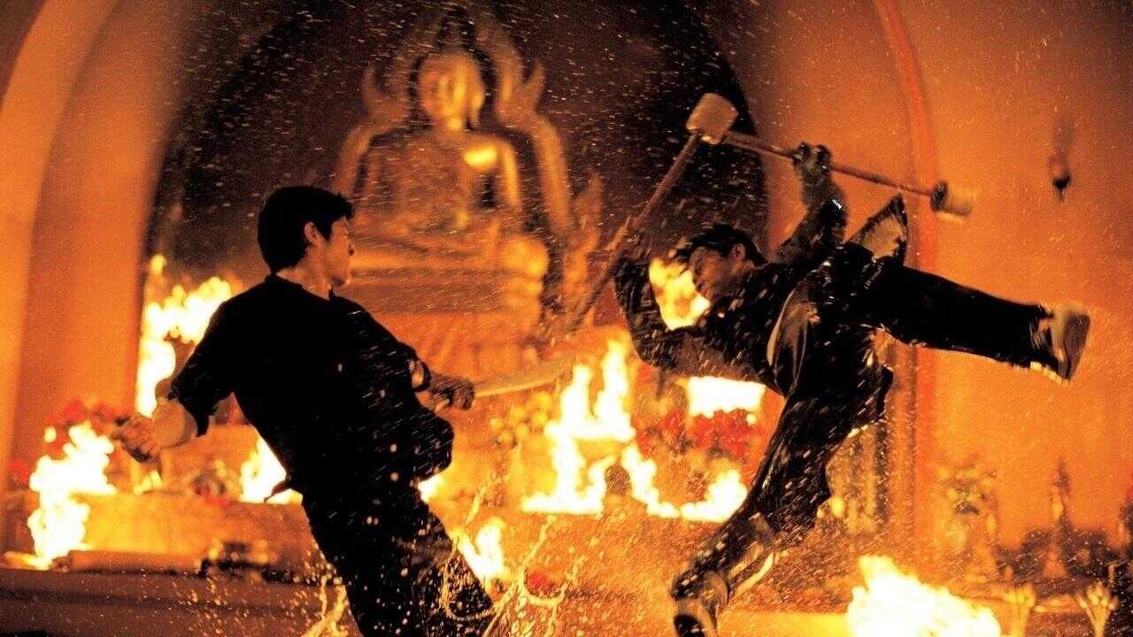 The Protector (2005) 0
