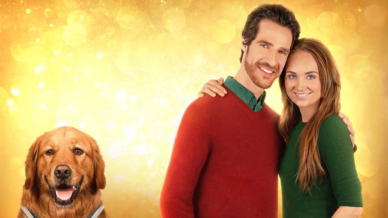 My Christmas Guide 0