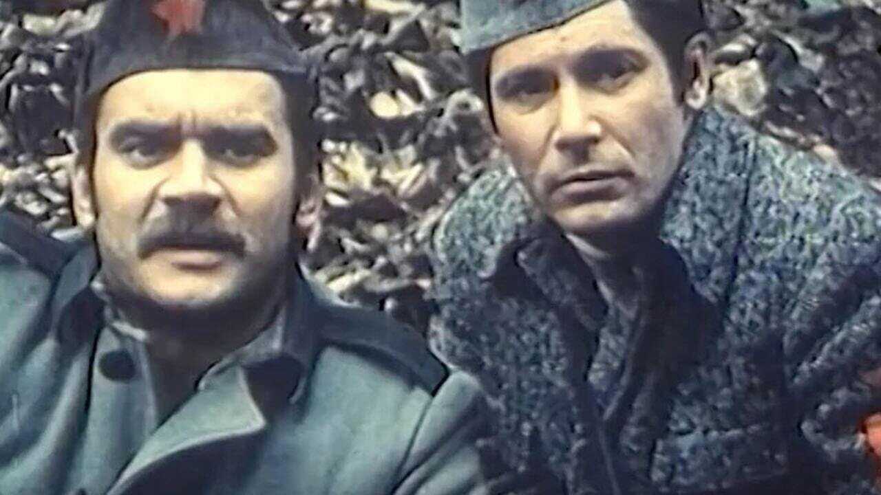 The Pine Tree in the Mountain (1971) 0