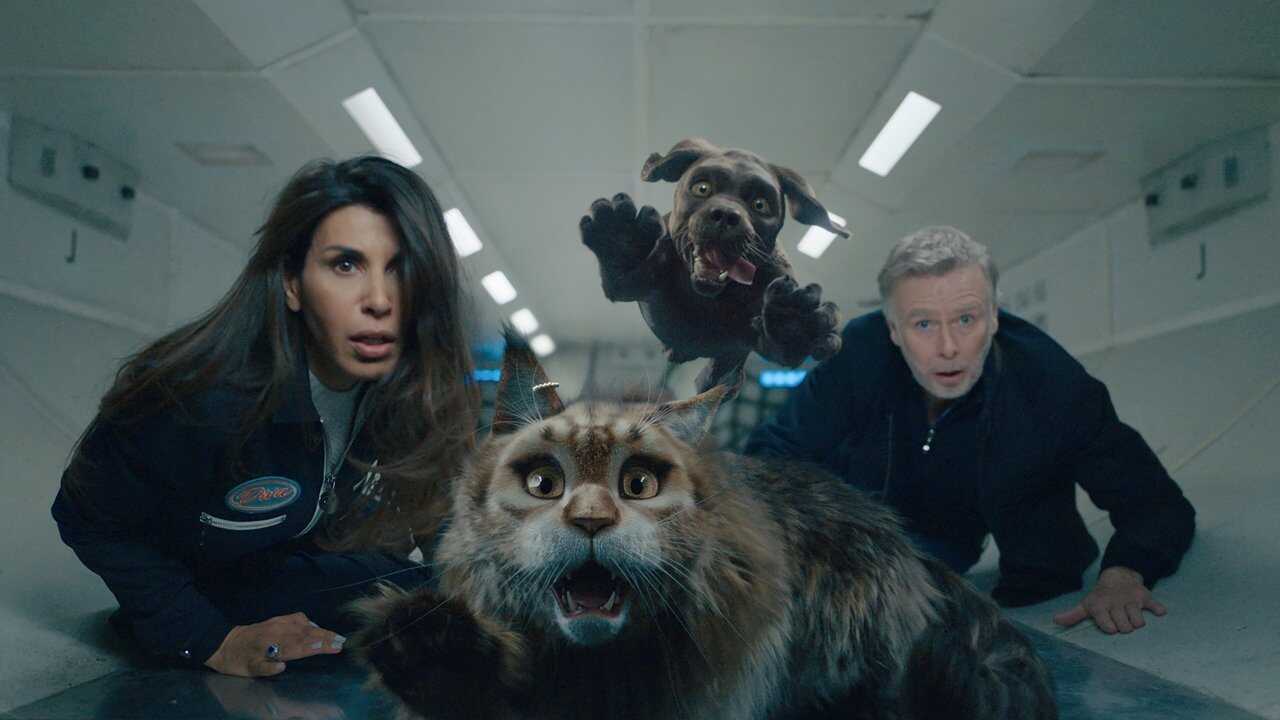 Chien et Chat (2024) 0