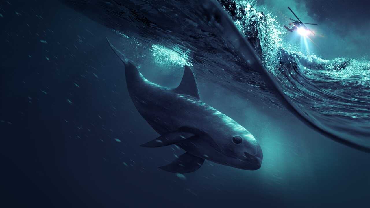 Sea of Shadows (2019) 0