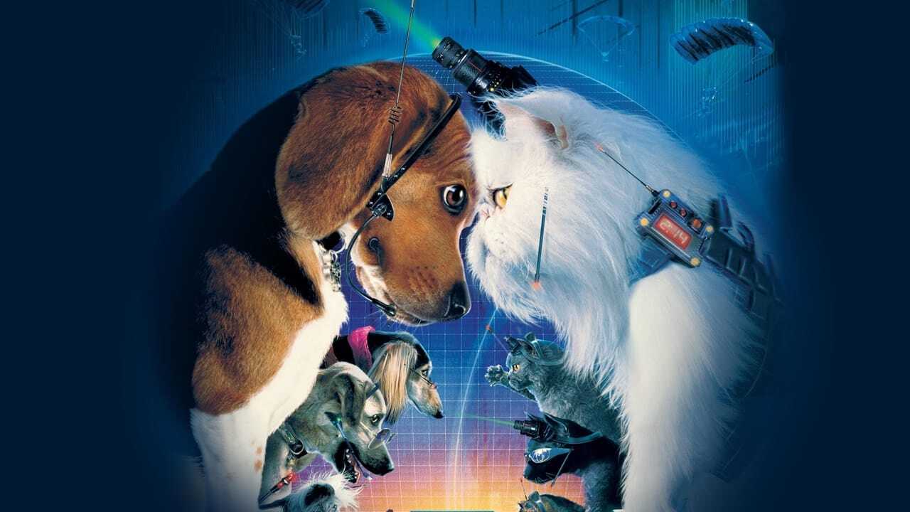Cats & Dogs 0
