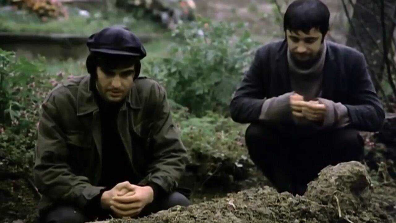 Canım Kardeşim 0