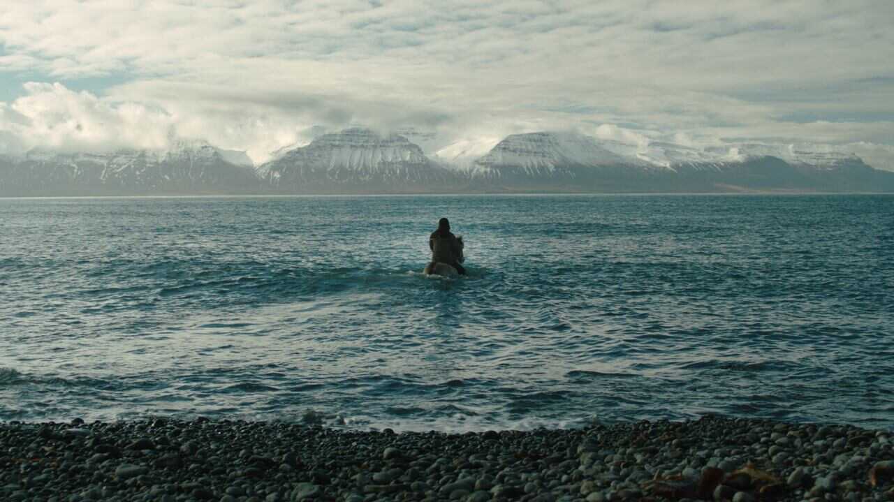 Von Menschen und Pferden (2013) 0