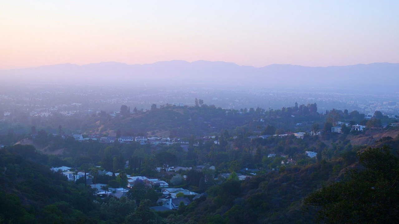 AR| California Schemin' - 2025 0