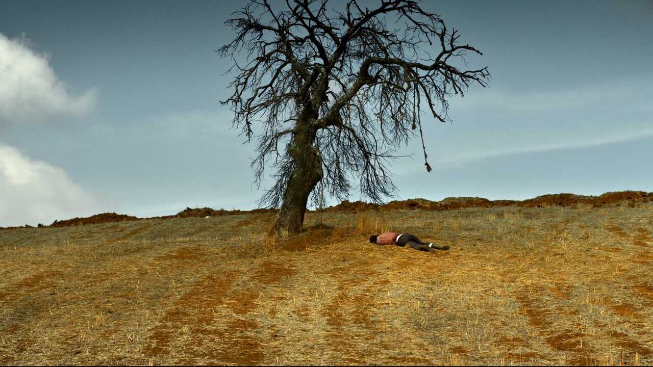 The Wild Pear Tree (2018) 0