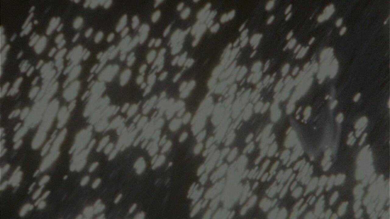 PT - Eve - 2002 0