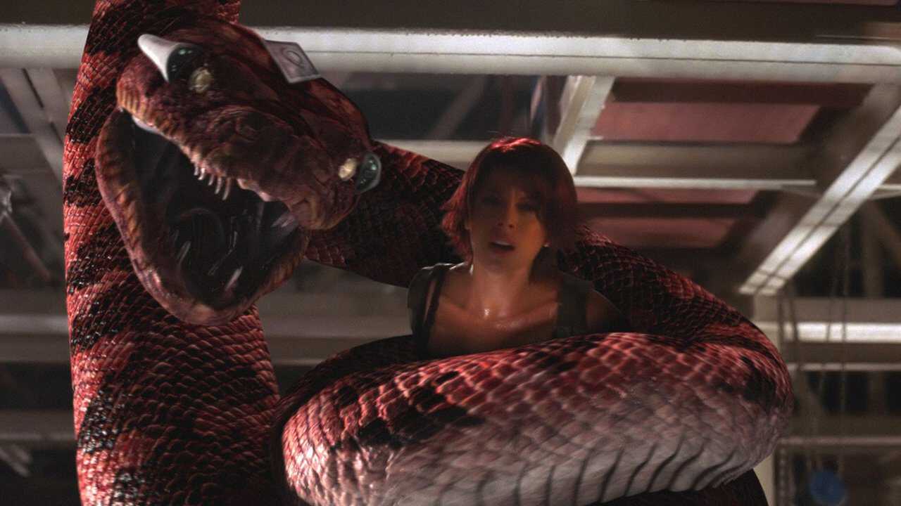 Boa vs. Python 0