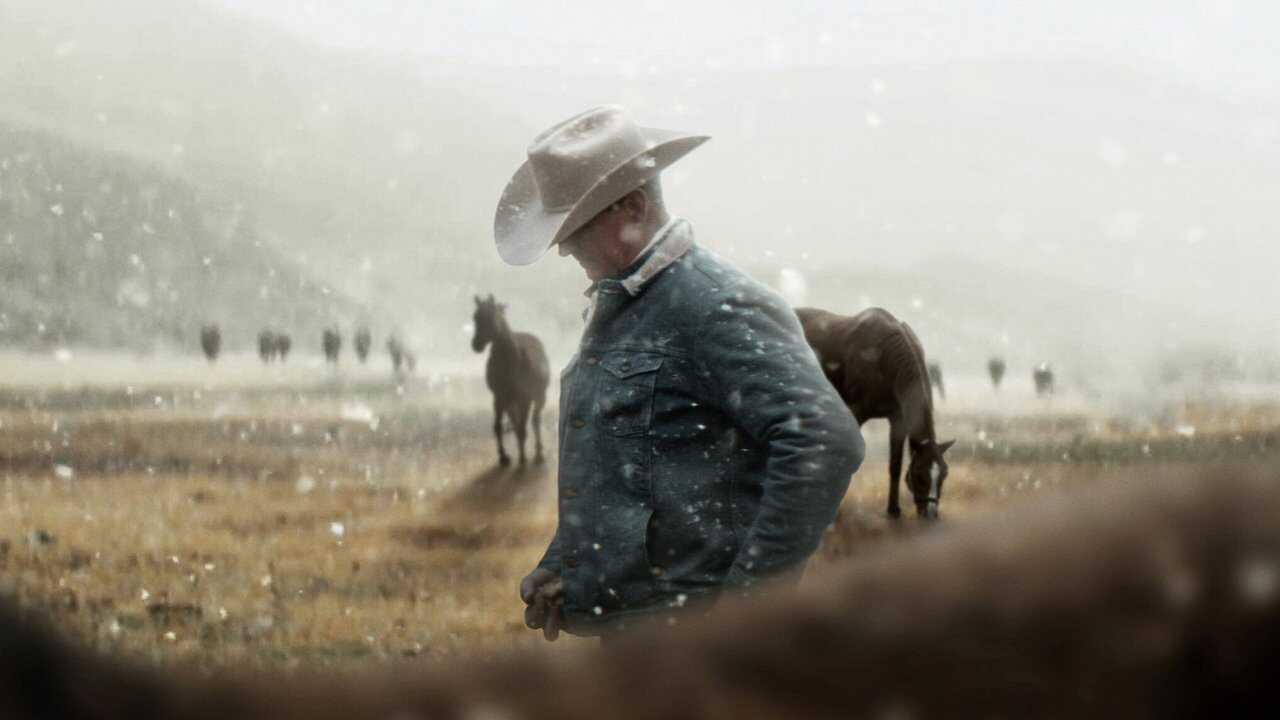 My Heroes Were Cowboys 0