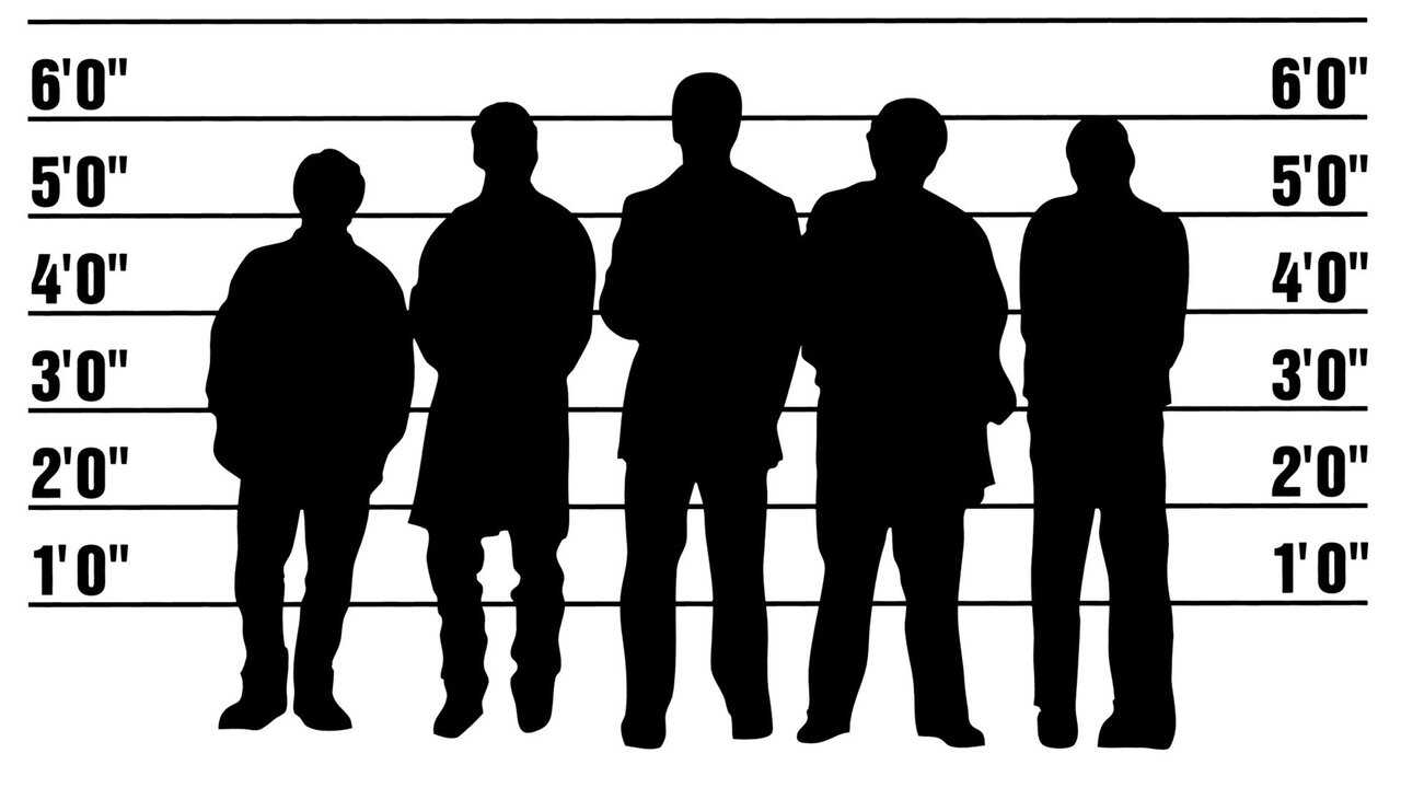 Usual Suspects 0