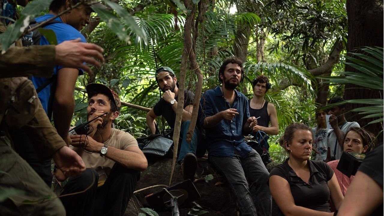 Terrible jungle - 2020 0