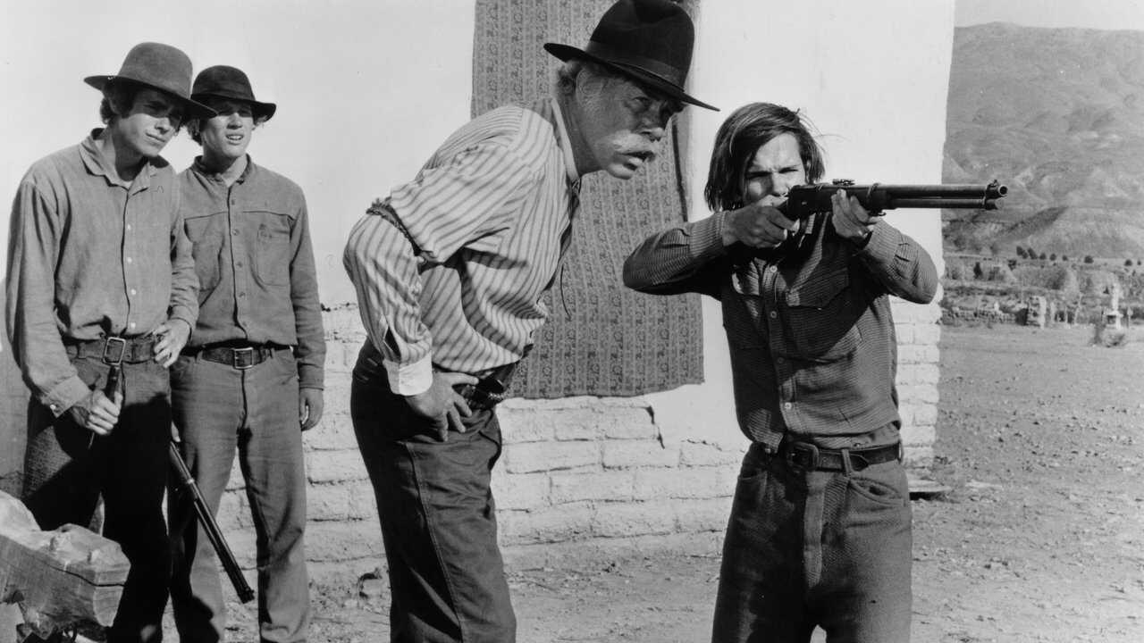 The Spikes Gang (1974) 0