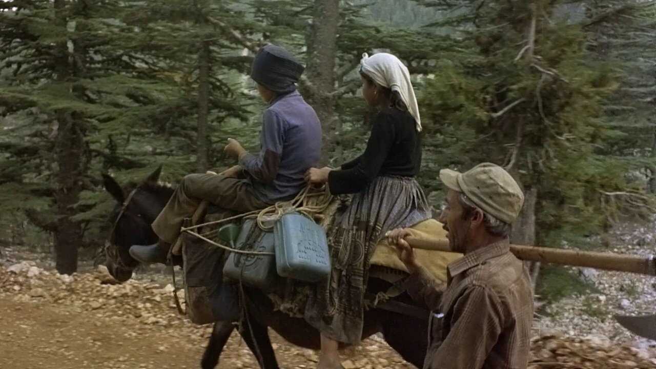 Tahtacı Fatma 0