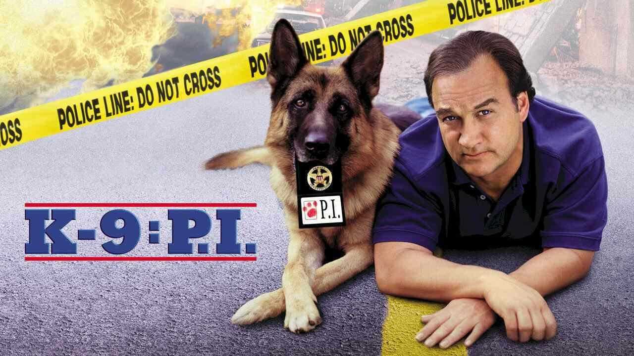 K-9: P.I. 0