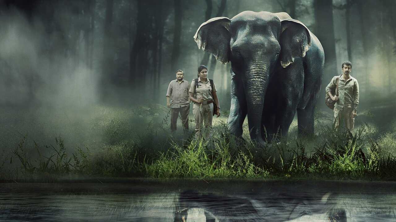IN - Poacher 2