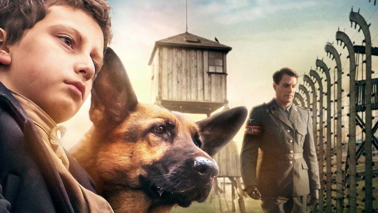 Shepherd: The Hero Dog 0