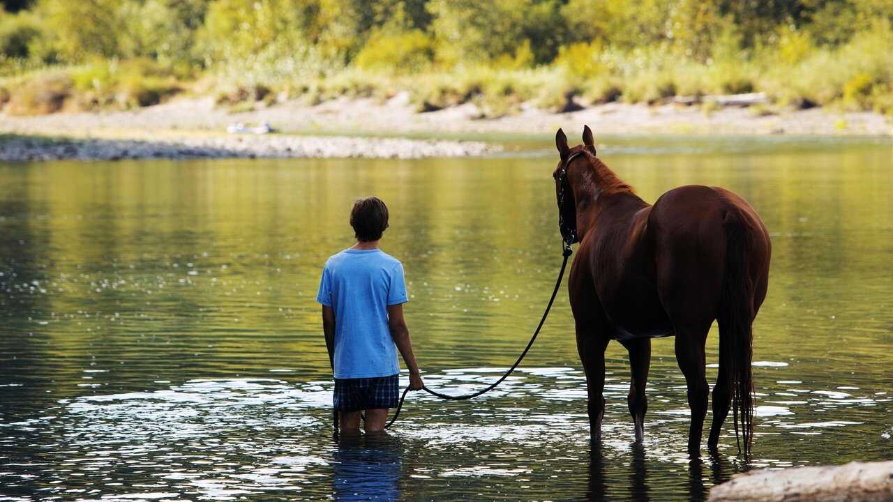 Lean on Pete 0