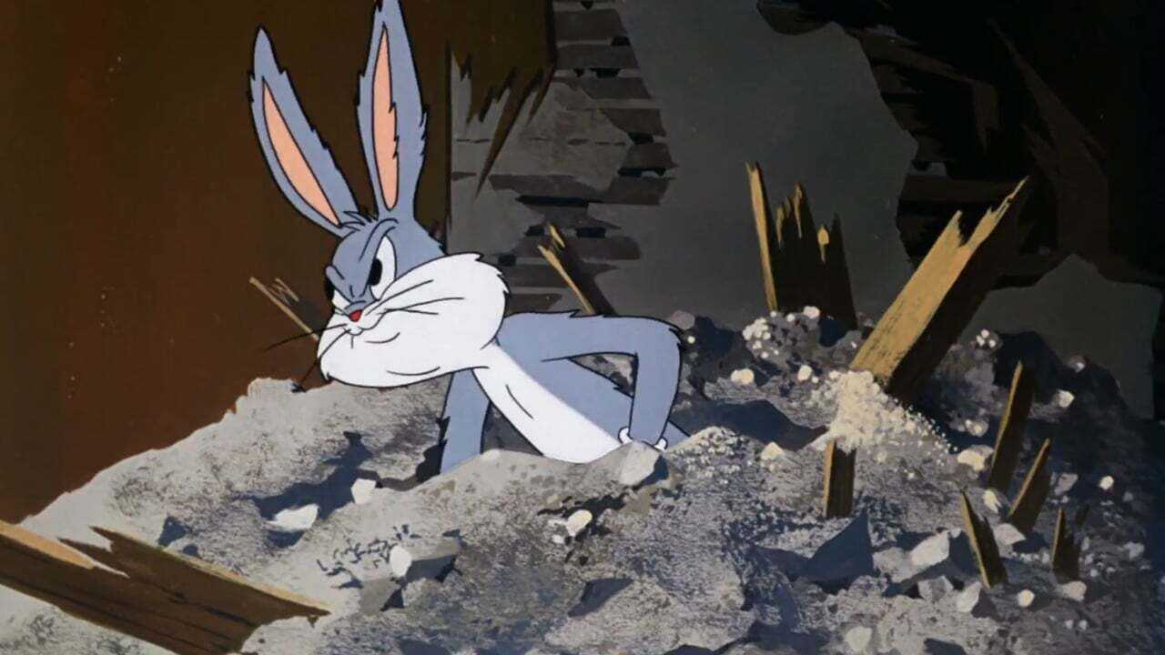 Un incroyable lapin 0
