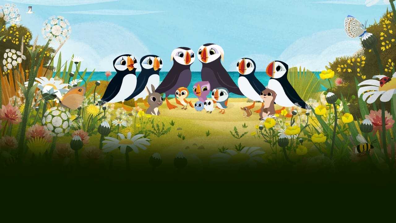 Puffin Rock and the New Friends 0