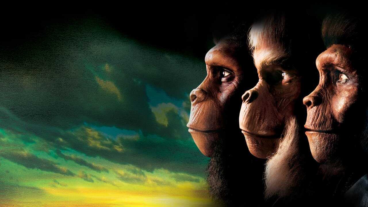 Planet of the Apes 0