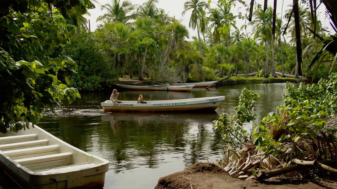 FR| Laguna - 2025 [VOSTFR] 0