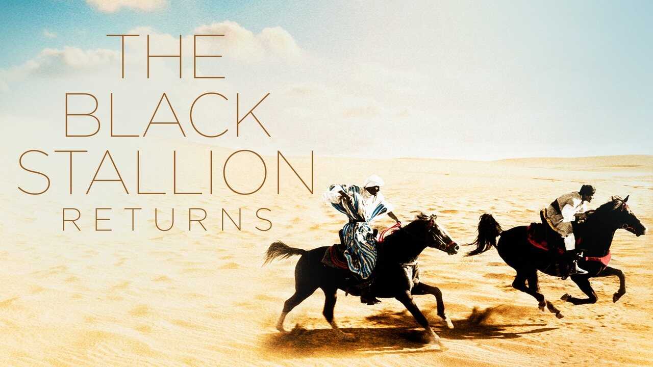 Le retour de l'étalon noir 0