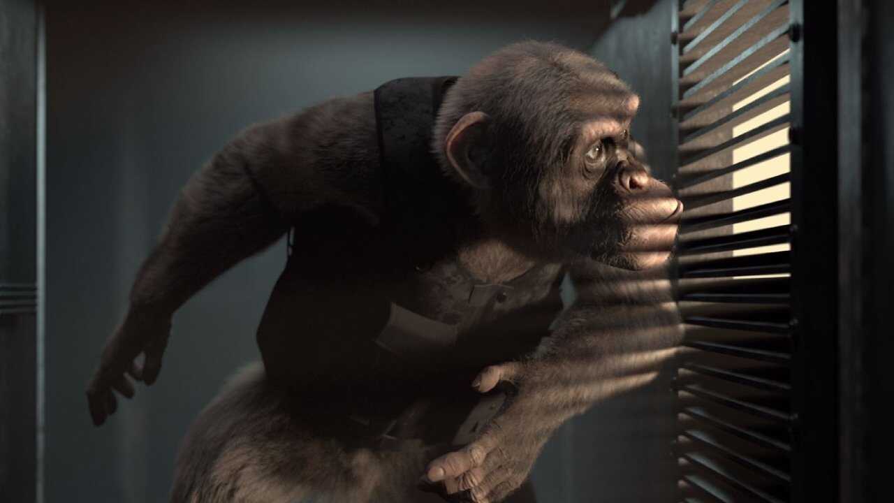 C.I.Ape (2022) 0