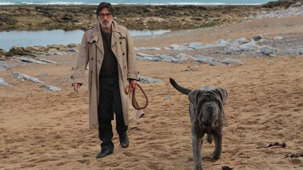 FR - Mon chien stupide - 2020 0