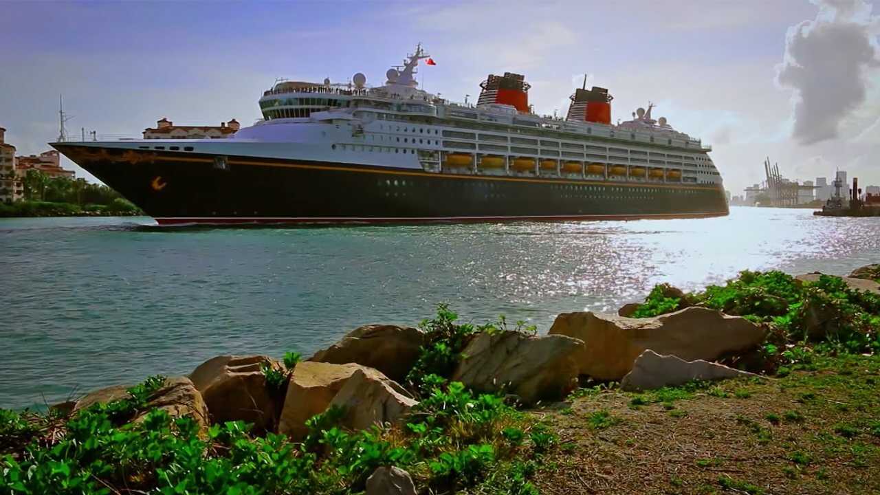 The Wrong Cruise 0