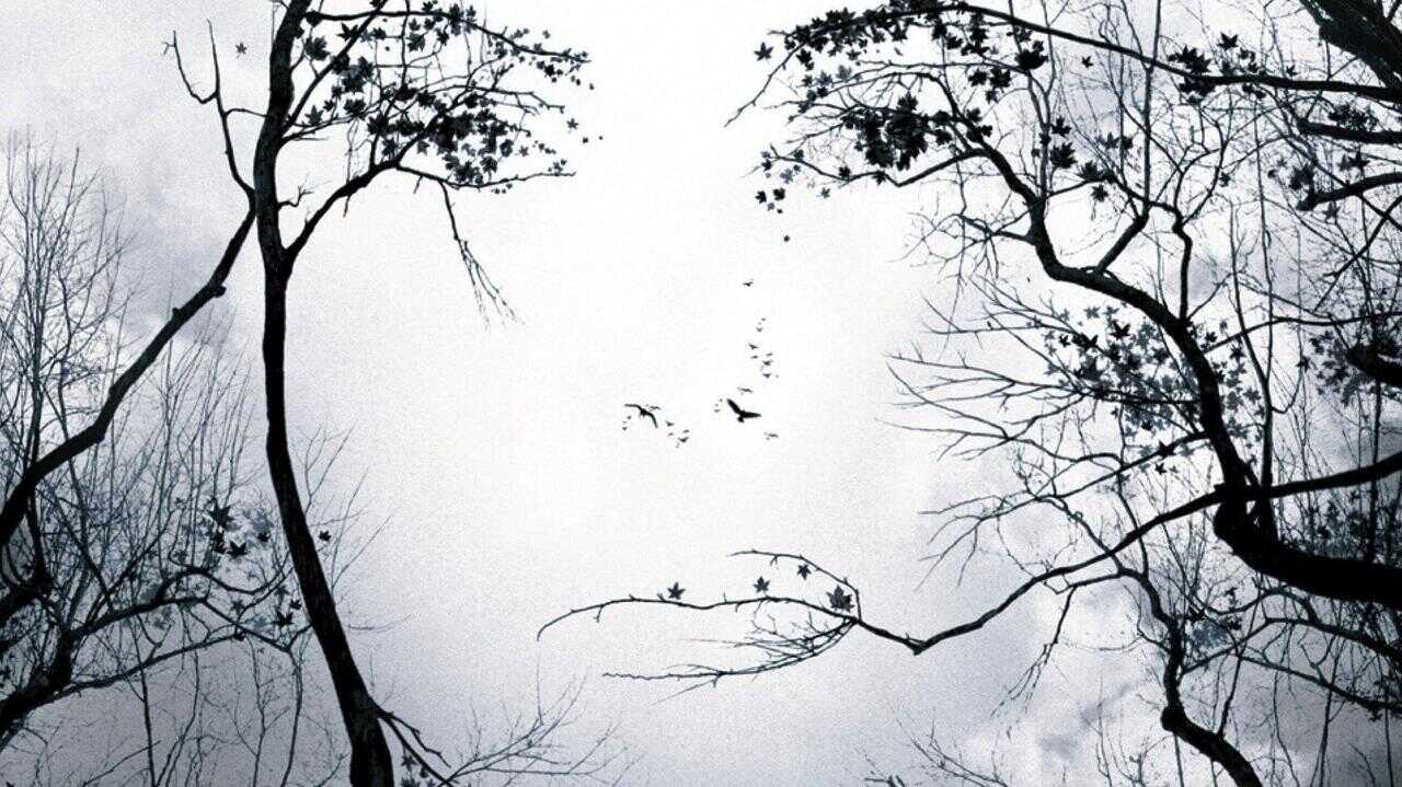 Premonition 0