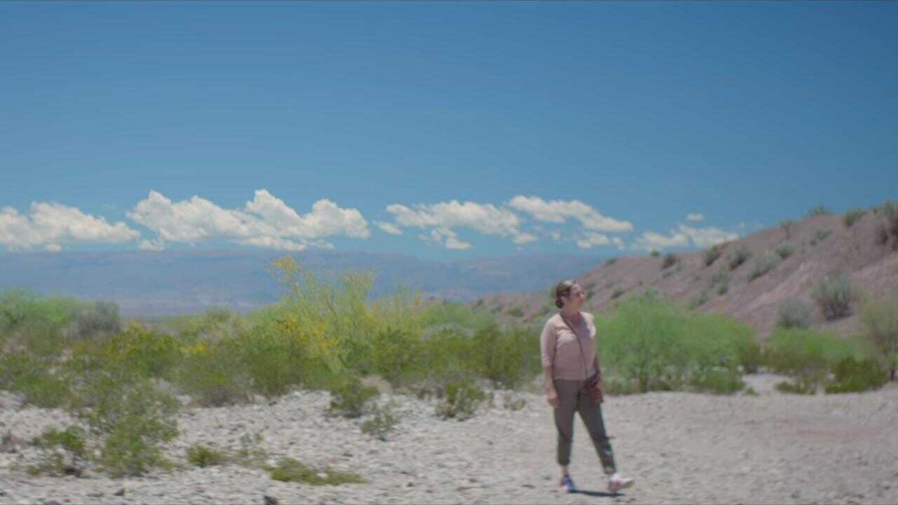 La novia del desierto 0