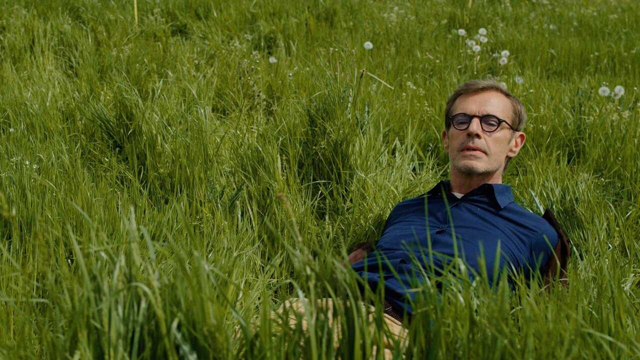 5 Hectares (2023) 0